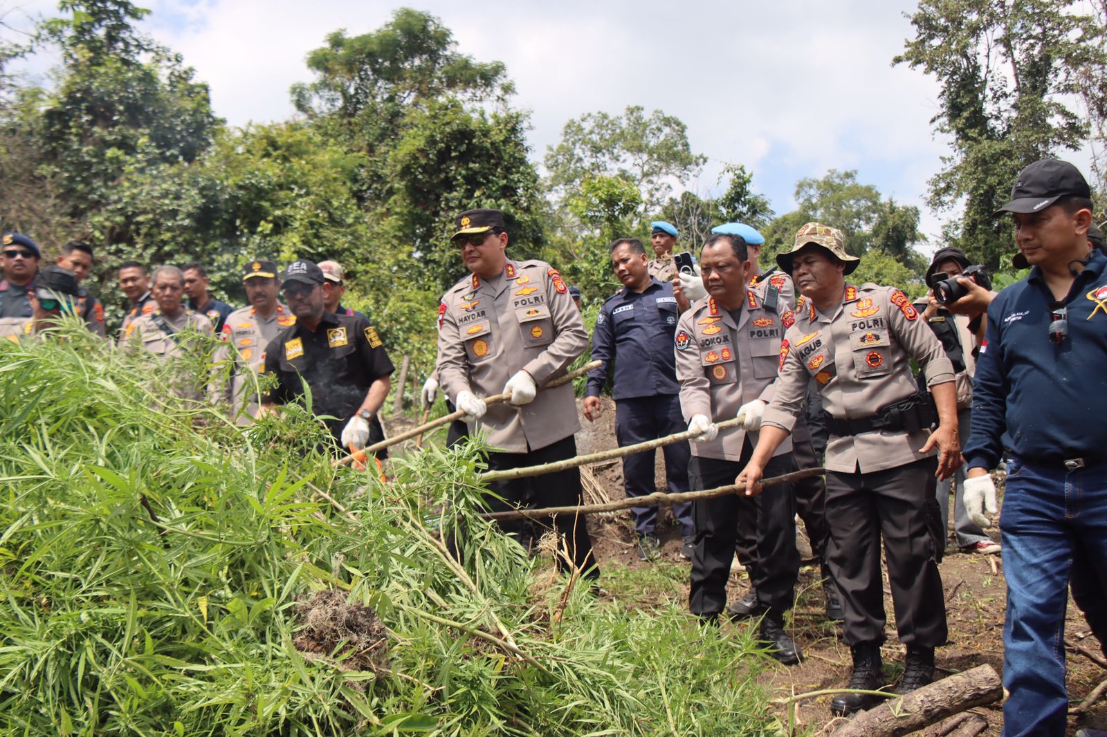 Kapolda Aceh Musnahkan 11 Hektar Ladang Ganja di Aceh Besar, 8 maret 2023. (Foto: Humas Polda Aceh).