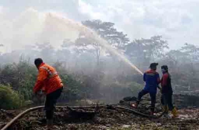 BPBD Kabupaten Aceh Barat sejauh ini masih mengalami kesulitan dalam melakukan pemadaman api pasca kebakaran kebun dan lahan perkebunan milik warga serta PT Prima Aceh Agro Lestari (PAAL)yang berlokasi di kawasan Desa Napai, Kecamatan Woyla Barat, kabupaten Aceh Barat, Jum'at (14/4/2023). (Foto: Dok. Aceh Barat)