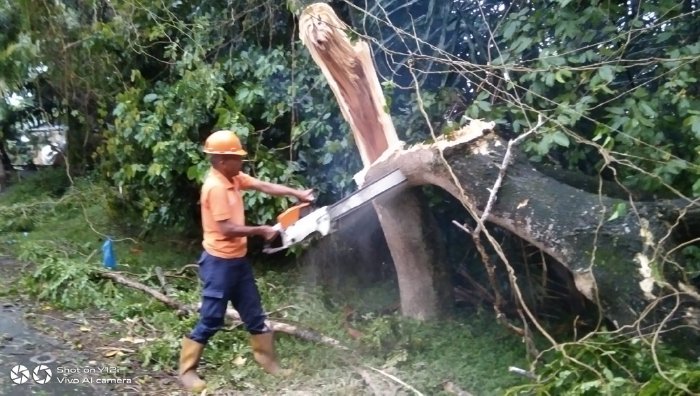 Tim BPBD Aceh Besar membantu membersihkan pohon tumbang di Gampong Seulimeum, Kecamatan Seulimeum, Sabtu (6/5/2023) sore. (Foto: Dok. BPBD Aceh Besar)