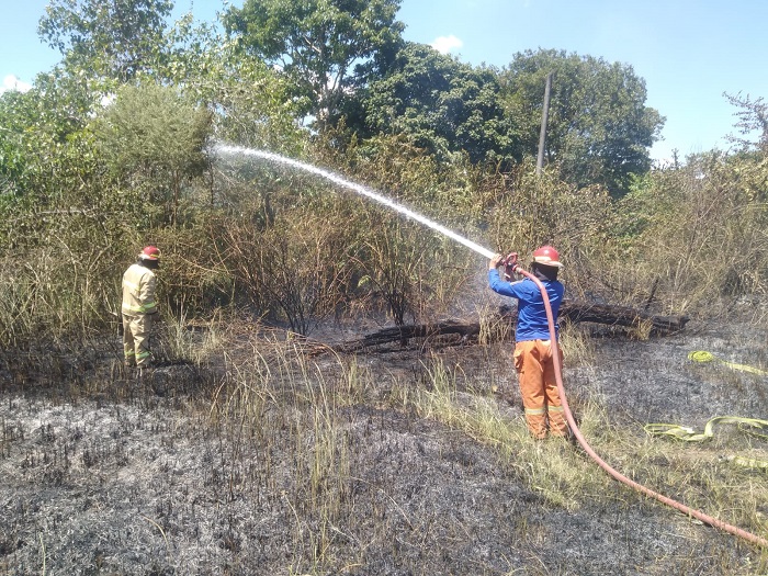 Sebuah lahan di Gampong Alue Glong yang berada di Kecamatan Seulimeum, Kabupaten Aceh Besar terbakar akibat kondisi cuaca yang terik dan panas sekitar pukul 13.01 WIB. (Foto: Ist)