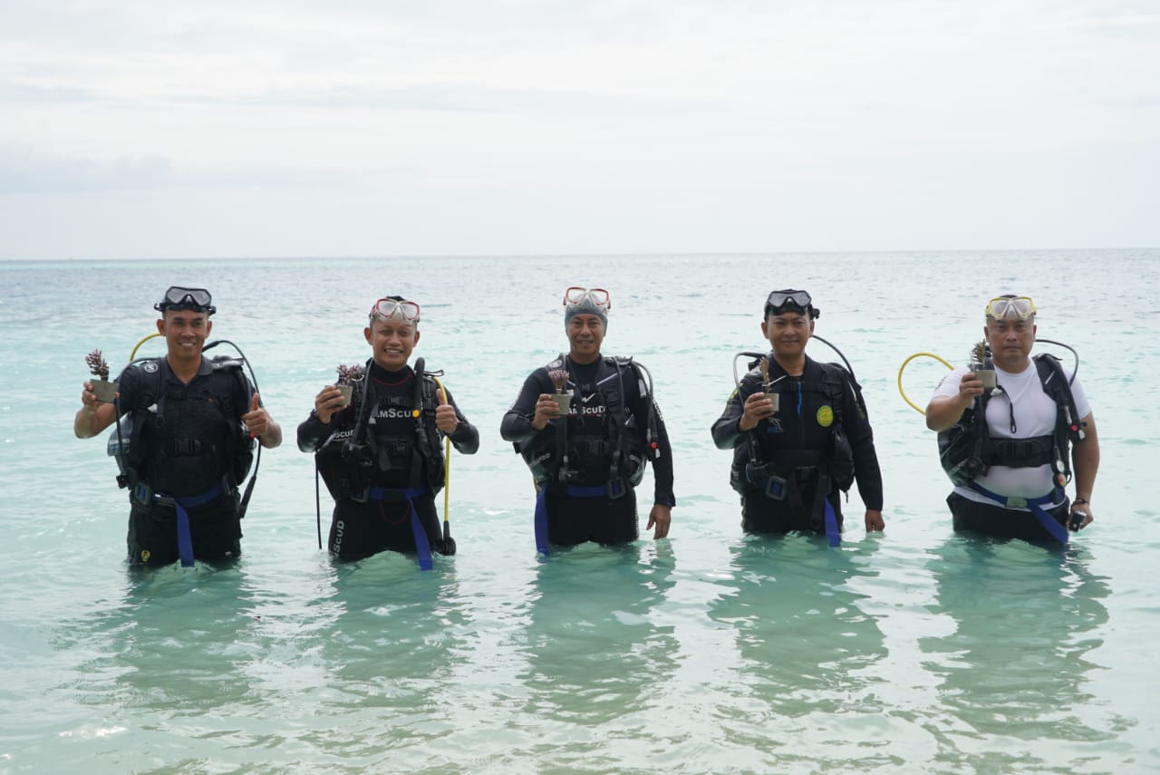 Upaya Menjaga Ekosistem Laut, Pangdam IM Lepas Tukik Jenis Penyu Hijau