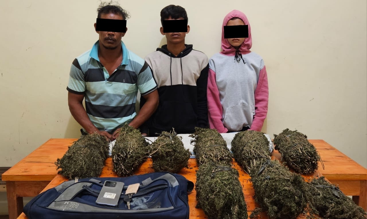 Polisi Tangkap Tiga Pengedar Ganja, Dua di Antaranya Suami Istri
