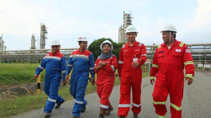 Sejumlah Lapangan minyak yang dikelola oleh Pertamina EP, yang selama berada di bawah SKK Migas akhirnya berhasil dialihkan ke bawah naungan BPMA. Lapangan migas itu berada di pesisir timur Aceh. (Foto: Ist)