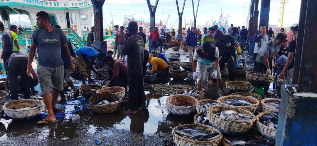 Aktivitas jual-beli ikan di TPI Pelabuhan Perikanan Samudera Lampulo, Banda Aceh, Sabtu (12/8/2023). (Foto: Nukilan.id/Sammy)