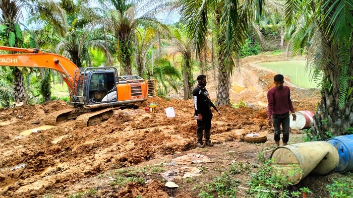 Personel Unit IV Subdit Tindak Pidana Tertentu (Tipidter) Direktorat Reserse Kriminal Khusus (Ditreskrimsus) Kepolisian Daerah (Polda) Aceh meringkus dua orang terduga pengangkut kayu secara ilegal yang berlokasi di Desa Jeung Leubat, Kecamatan Bandar Baru, Pidie Jaya pada Minggu (13/8/2023). (Foto: Ist)