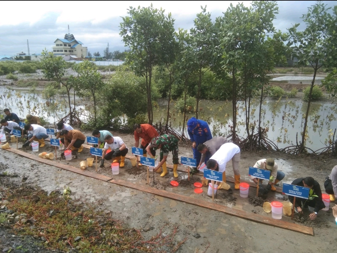 Penanaman Mangrove di PPS Kutaraja. (Foto: Dok. DKP Aceh)