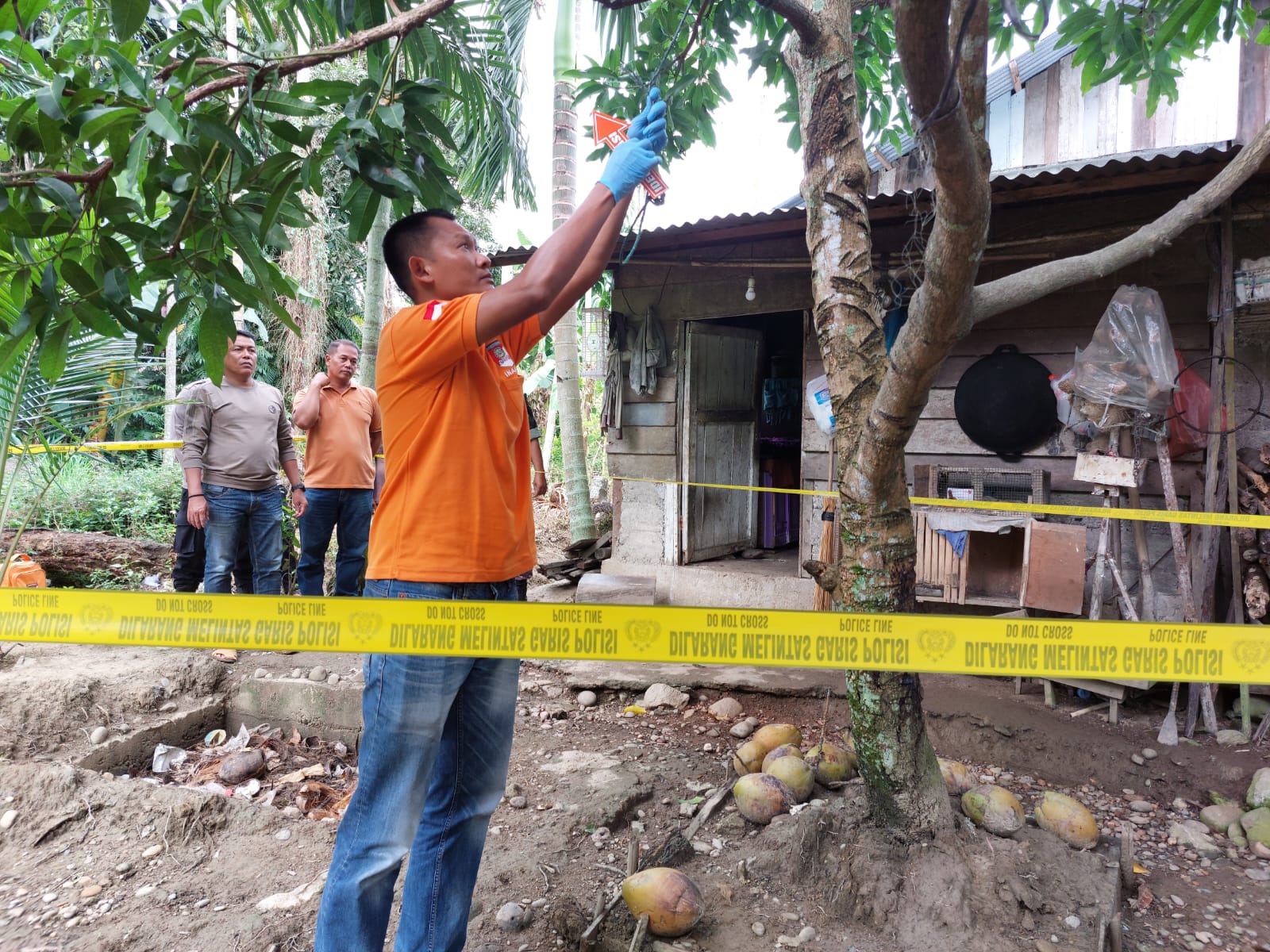 Lokasi pria ditemukan tewas gantung diri di pohon mangga di belakang rumahnya. (Foto: Dok.Polres Aceh Selatan)