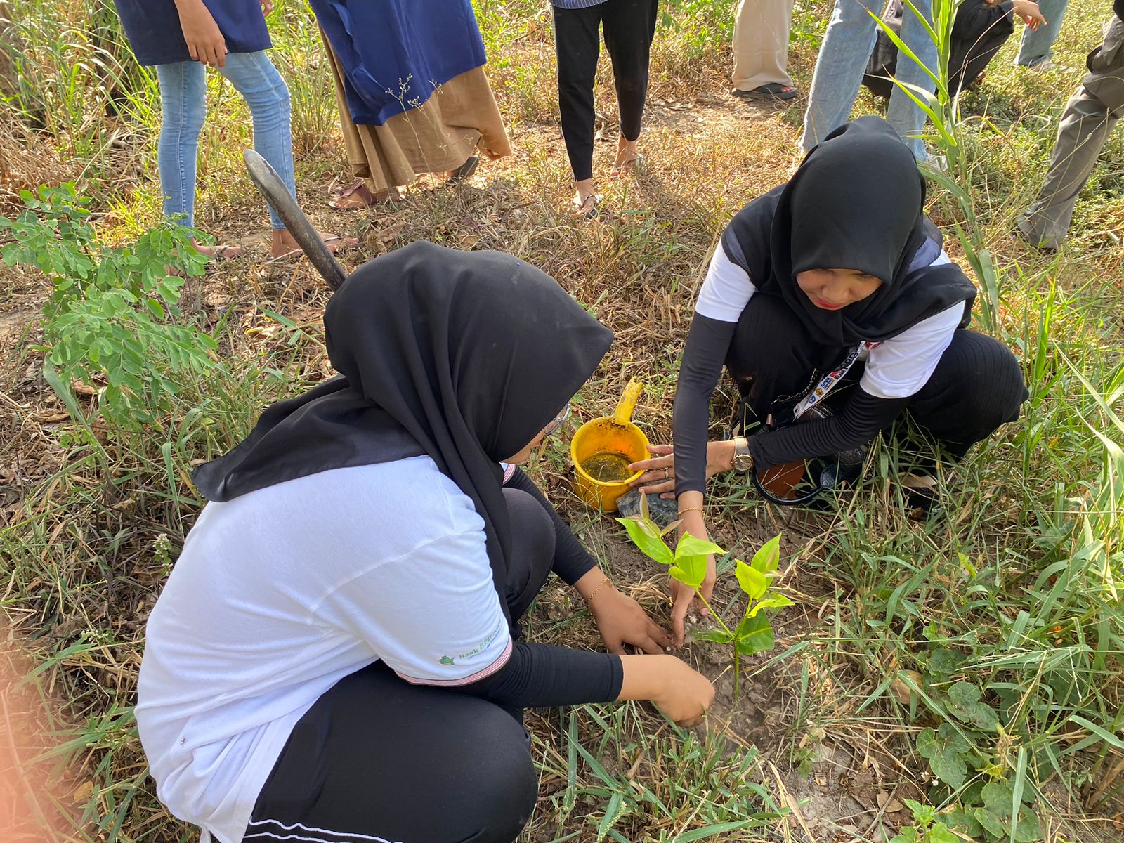 Mahasiswa PPG Kelompok II PKN Saat Menanam Pohon di Aceh Besar, Gampong Nusa, Kecamatan Lhoknga pada Kamis  9/5/2024 (dok : foto Nukilan.id)