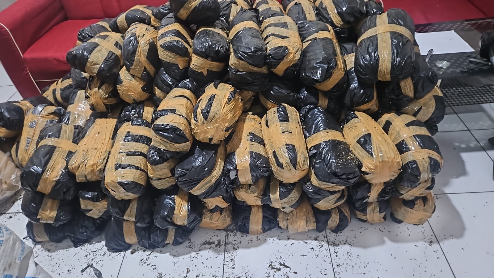 Ilustrasi Ganja Siap Edar. (Foto: Dok. Pribadi)