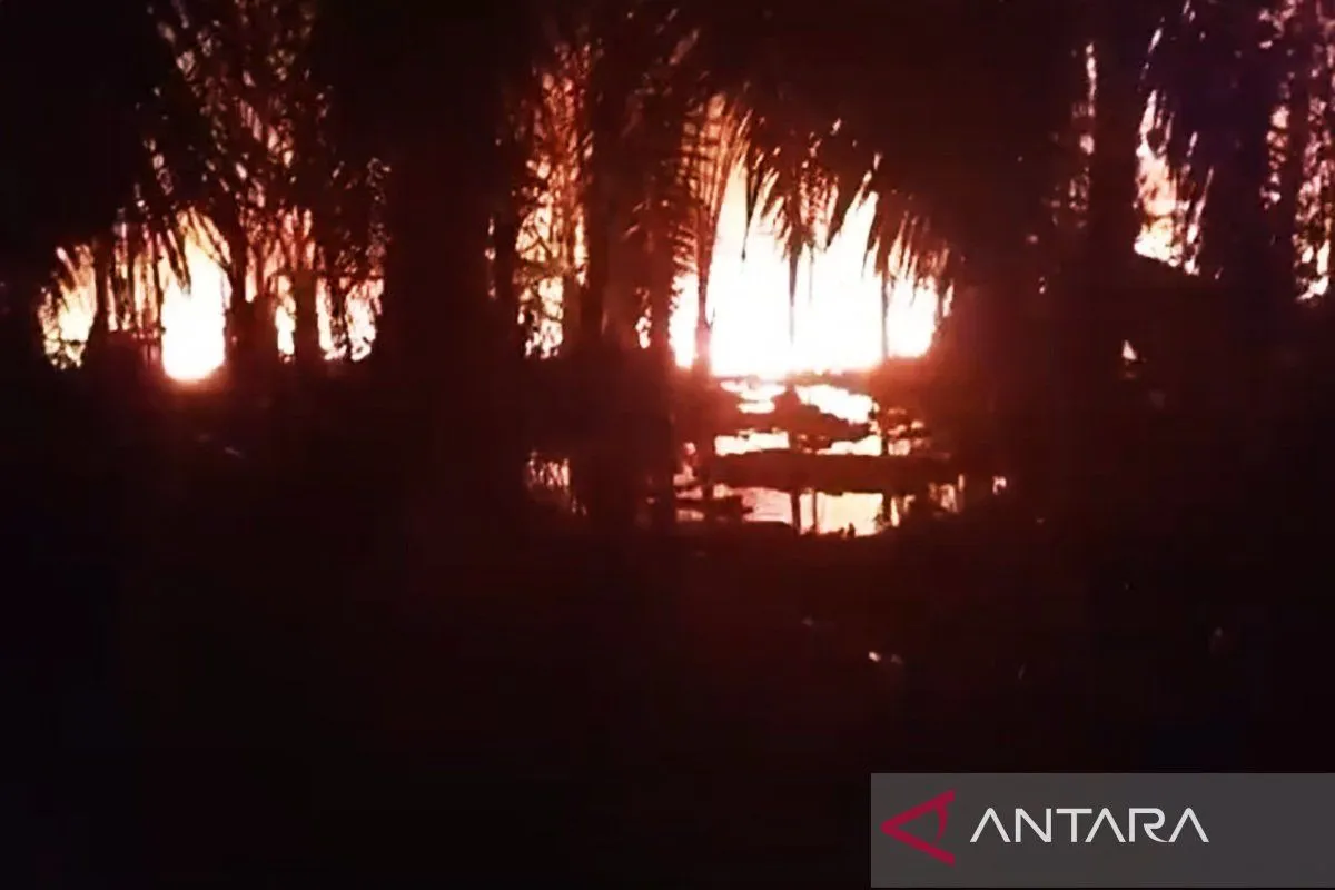 Sumur minyak terbakar di Gampong Alue Canang, Kecamatan Birem Bayeun, Kabupaten Aceh Timur. (Foto: ANTARA)