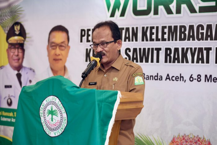 Asisten Perekonomian dan Pembangunan Sekda Aceh, Mawardi. (Foto: Humas Aceh)