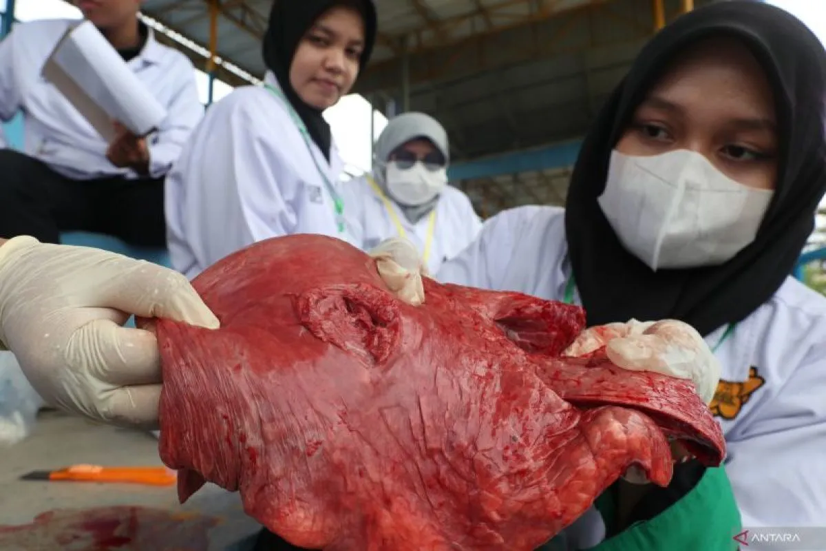 Mahasiswa FKH USK. (Foto: ANTARA)
