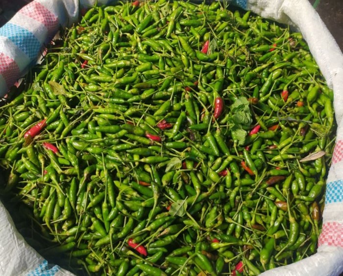 Harga Cabai Rawit di Pasar Kota Fajar, Aceh Selatan Stabil di Rp40.000/kg. (Foto: For Nukilan)