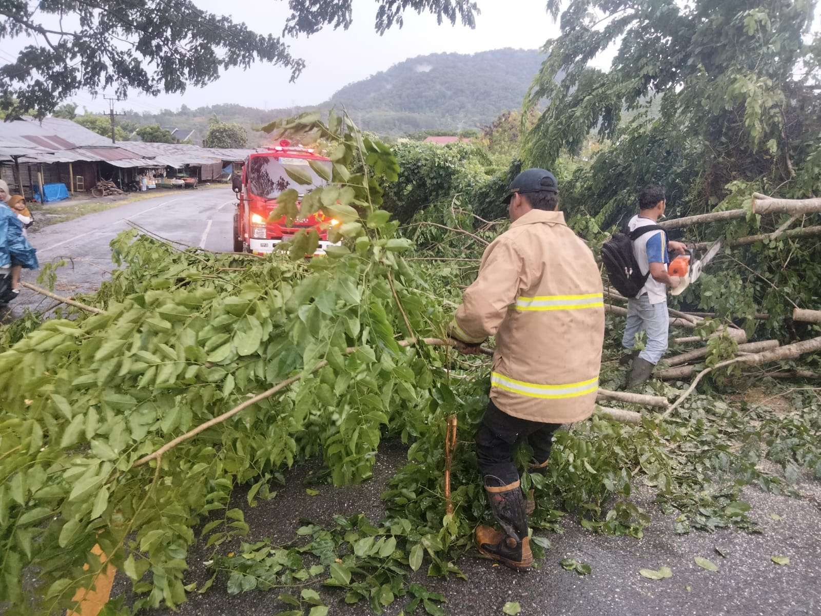 Angin Kencang Tumbangkan Pohon di Aceh Besar, Lalu Lintas Sempat Macet. (Foto: RRI)