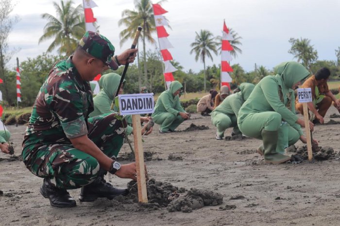 Satgas TMMD Kodim Nagan Raya Tanam 500 Batang Mangrove. (Foto: Humas Aceh)