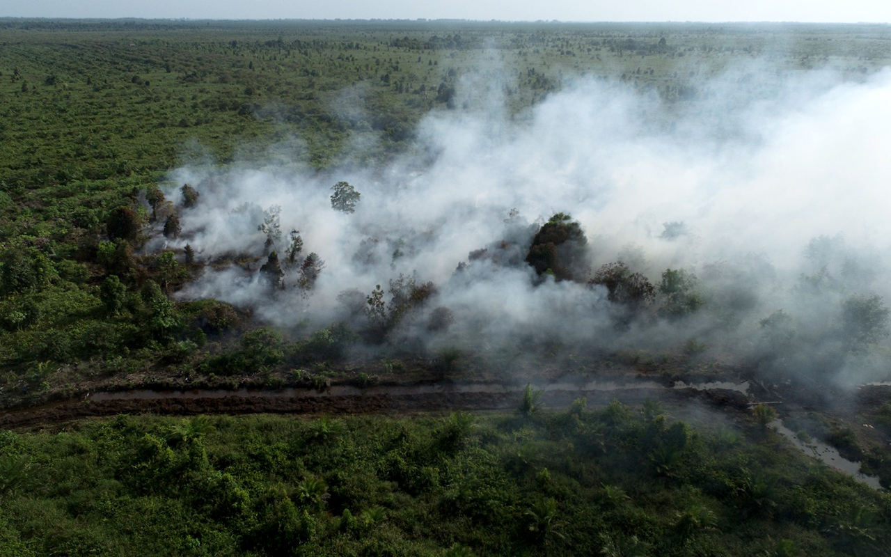 Ilustrasi Kebakaran hutan (Foto: Dok BPBA)