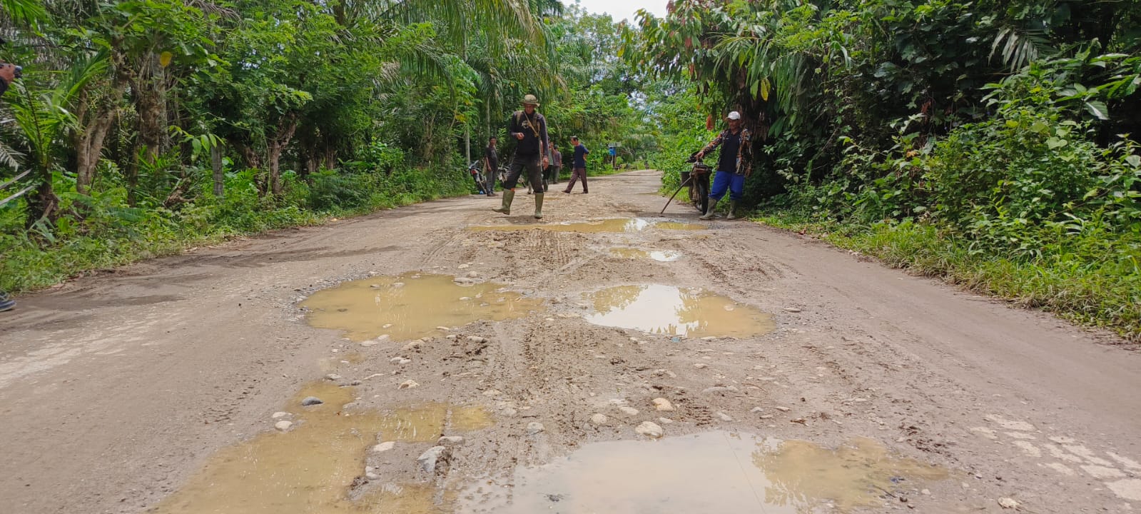 SAPA Desak Perusahaan Perkebunan Sawit Tanggung Jawab Atas Kerusakan Jalan di Aceh Utara. (Foto: For Nukilan)