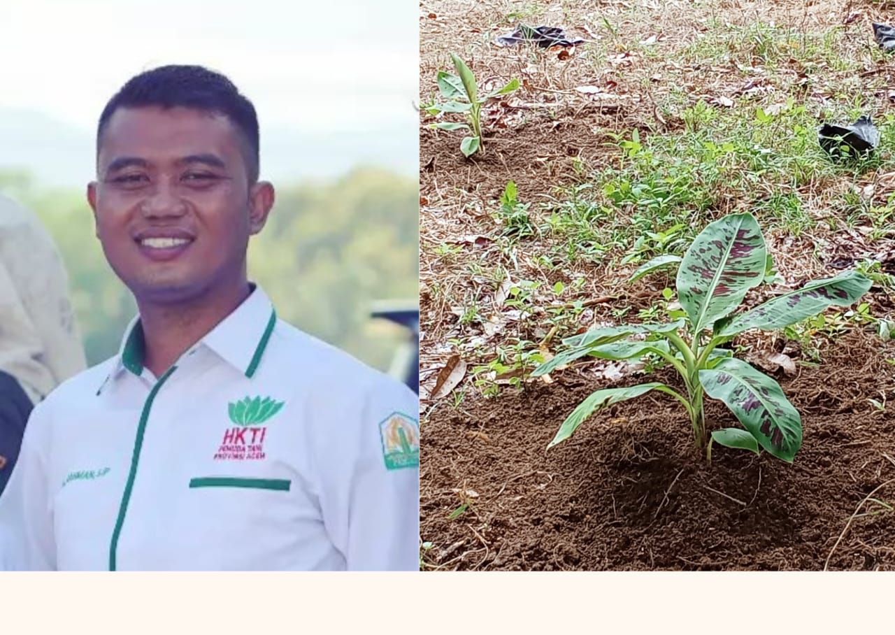 Ketua Pemuda Tani HKTI Abdya, T. Auliya Rahman. (Foto: Dok. Pribadi)