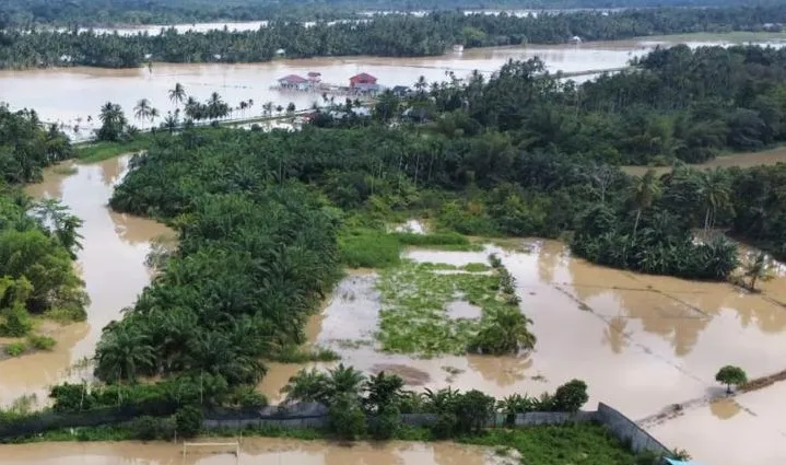 200 Hektare Lahan Sawah di Aceh Utara Rusak Setelah Diterjang Banjir. (Foto: MI)