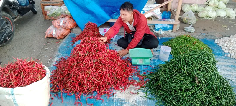 Cabai Merah. (Foto: Kompas)
