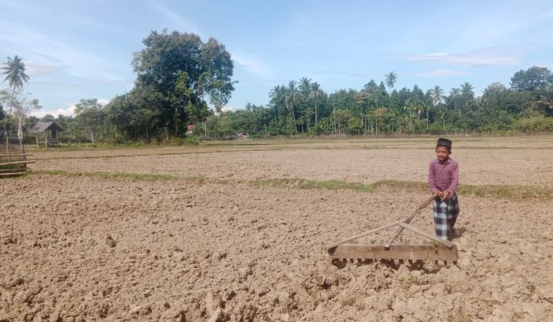Ratusan Hektare Lahan Sawah di Pidie Terancam Gagal Tanam Akibat Krisis Air. (Foto: MI)