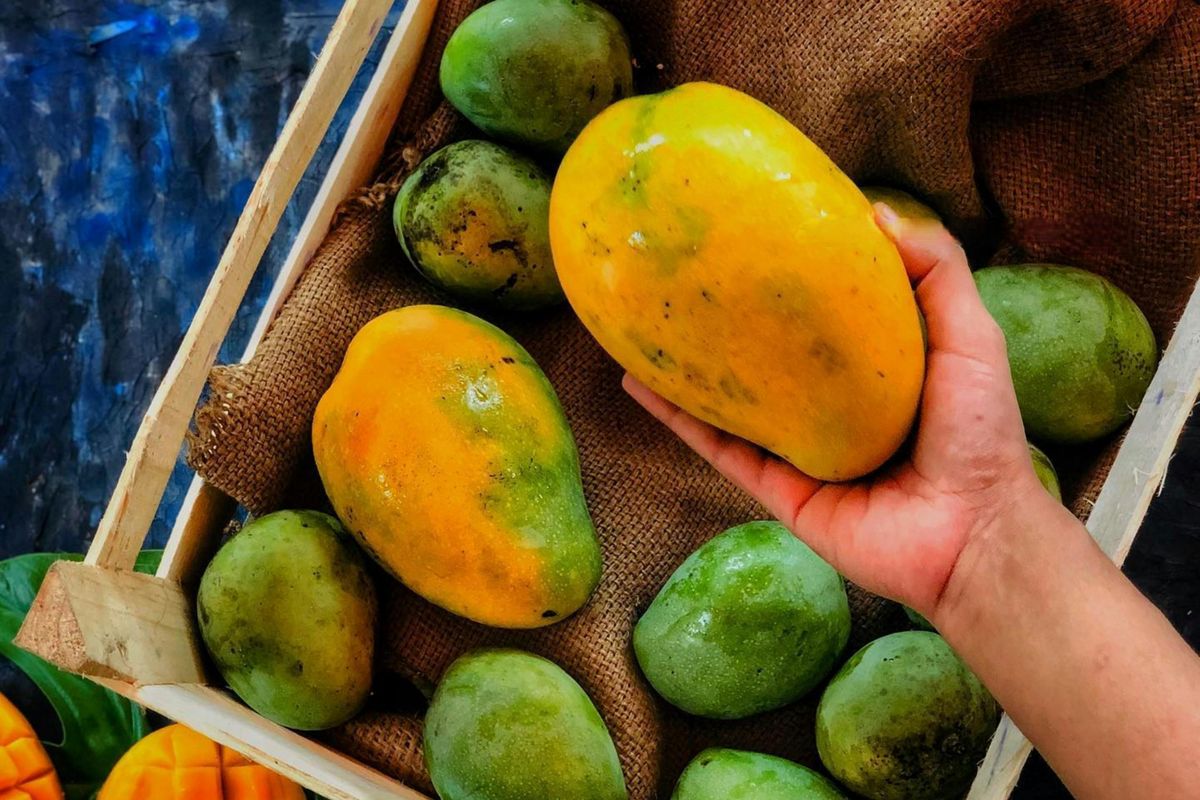 Ilustrasi manfaat makan mangga di malam hari.(Foto: Pexels/sha ima)