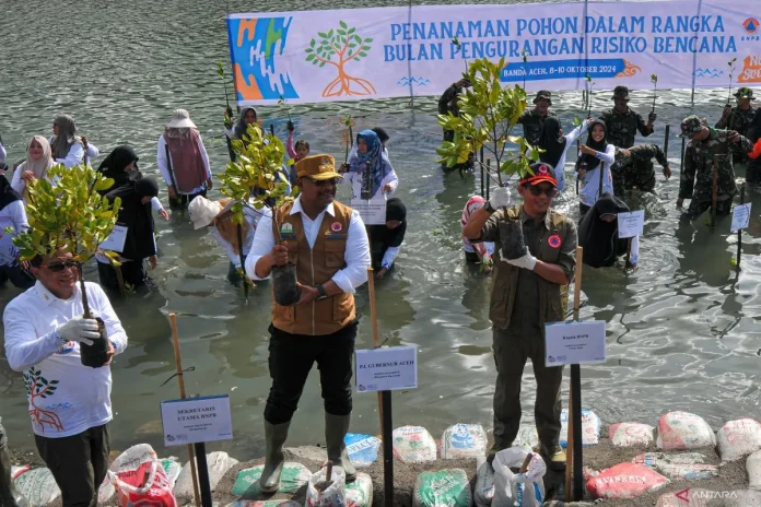 BNPB Tanam 6.000 Mangrove di Banda Aceh untuk Lindungi Ekosistem Pesisir. (Foto: ANTARA)