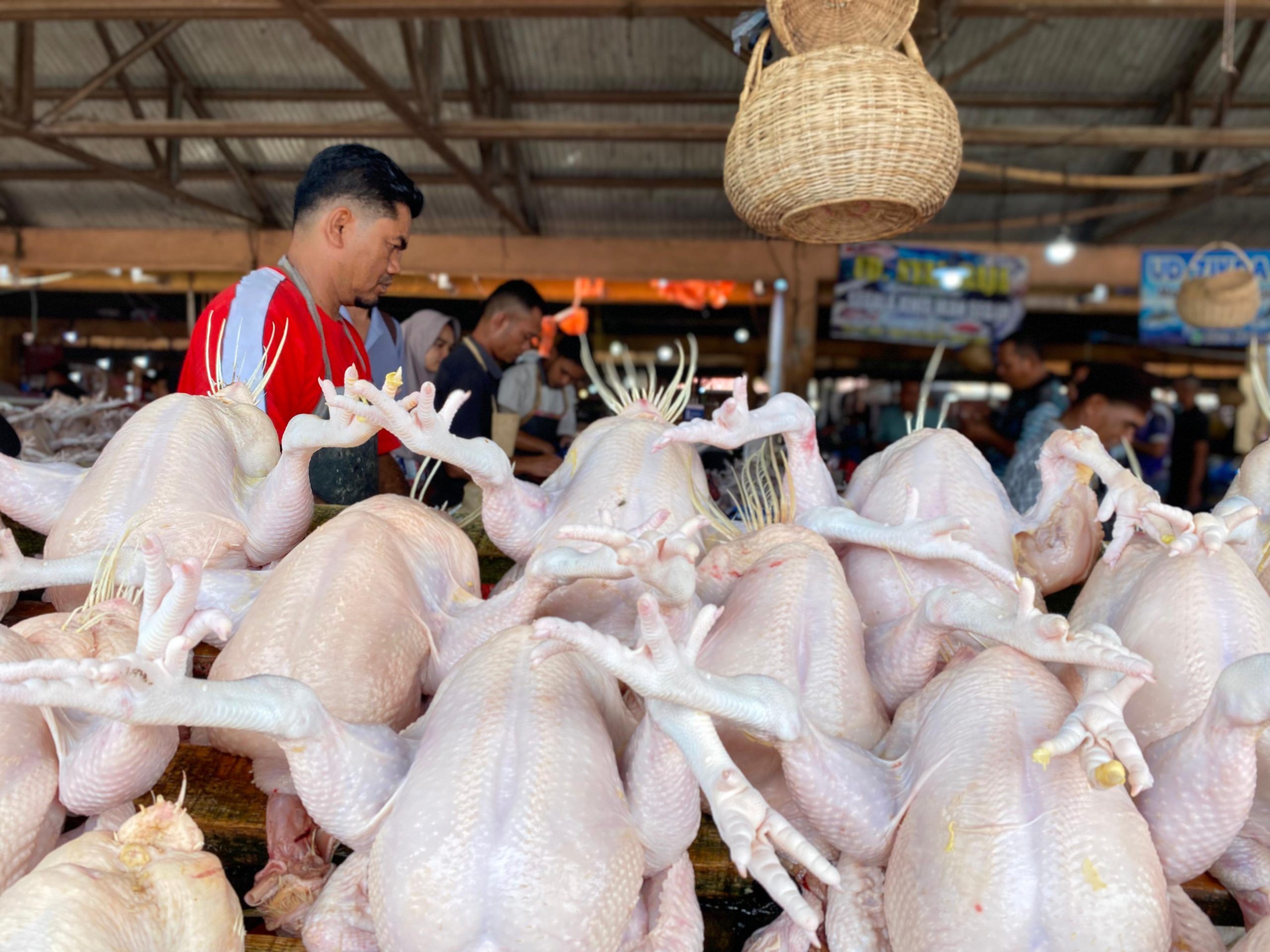 Permintaan Daging Ayam di Pasar Induk Lambaro Meningkat Selama Bulan Maulid