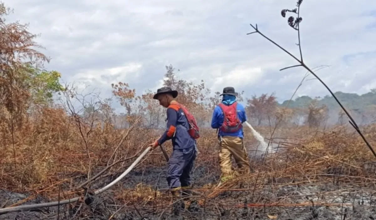 Ilustrasi kebakaran lahan. (Foto: ANTARA)