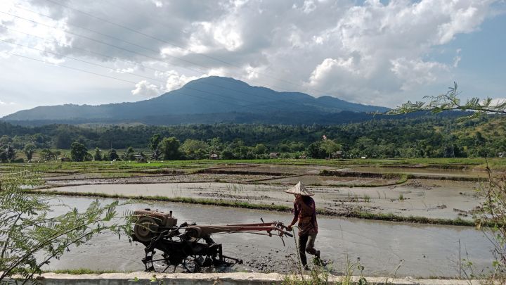 Hujan Mulai Guyur Aceh, Petani Bersiap Sambut Musim Tanam. (Foto: MetroTvNews)
