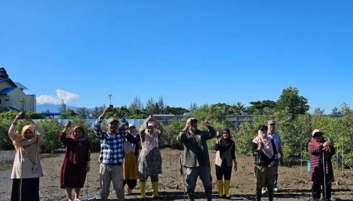 Biologi USK Tanam Mangrove di Lampulo, Langkah Nyata Lestarikan Ekosistem Pesisir