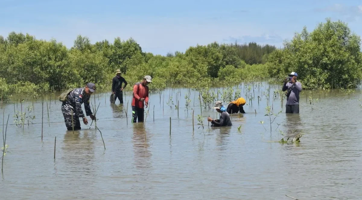 YSLI Tanam 1.500 Mangrove di Pantai Aceh Tamiang untuk Cegah Abrasi