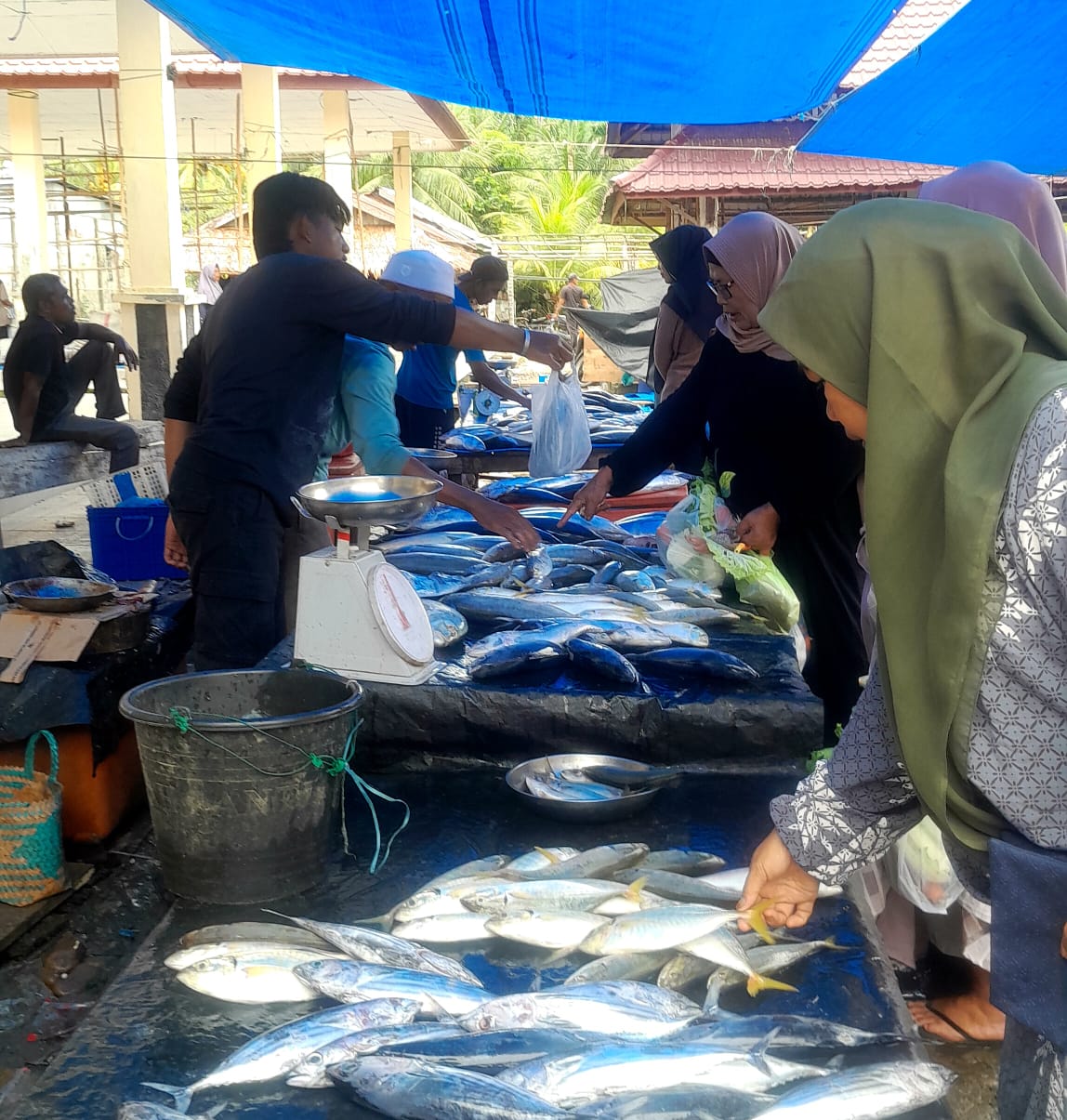 Pedagang ikan di pasar kedai runding. (Foto: Nukilan)