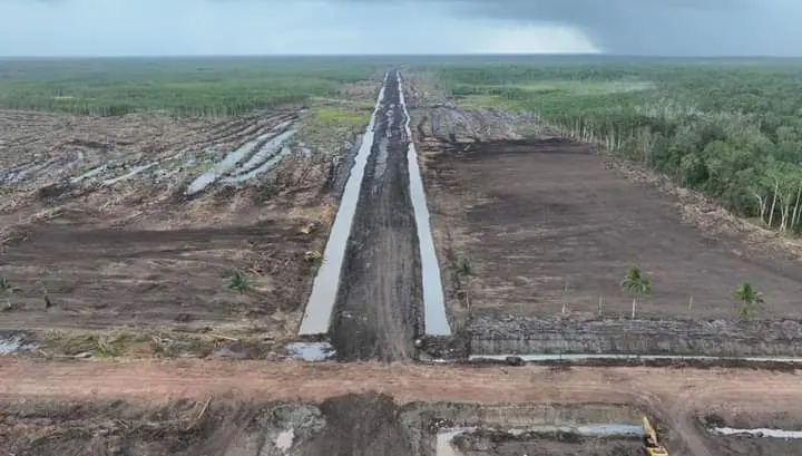 Proyek Food Estate Merauke Picu Lonjakan Emisi Karbon, Indonesia Terancam Gagal Capai Target Net Zero Emission. (Foto: BBC)
