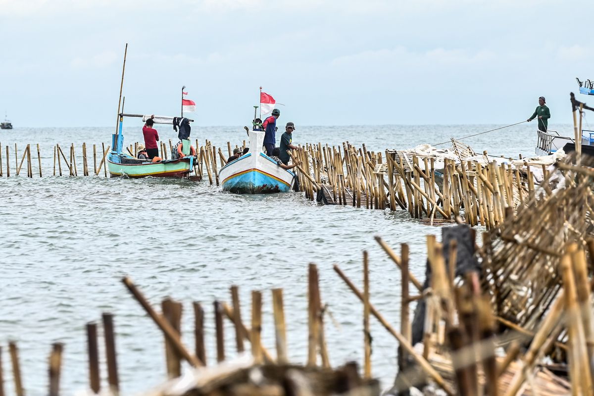 Sejumlah nelayan membongkar pagar laut yang terpasang di kawasan pesisir Tanjung Pasir. (Foto: ANTARA)