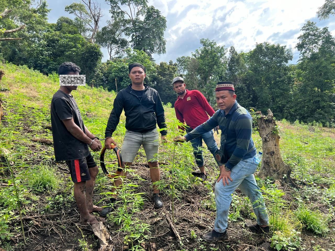 Petani ladang ganja ditangkap oleh Satresnarkoba Polres Aceh Besar di Lamteuba, Aceh Besar, pada Kamis 16 Januari 2025. (Foto: For Nukilan)