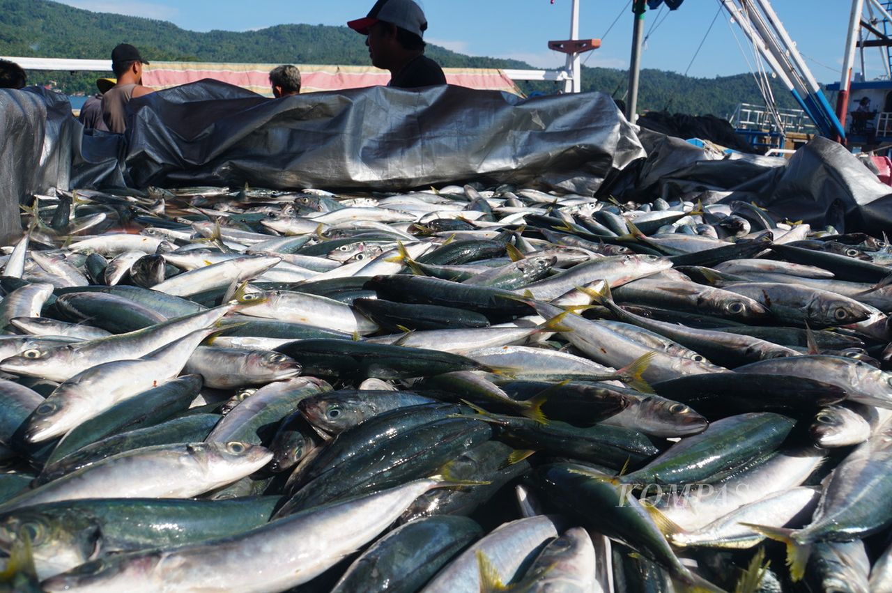 FKP USK Buka Prodi Baru Teknologi Industri Hasil Perikanan. (Foto: Kompas)