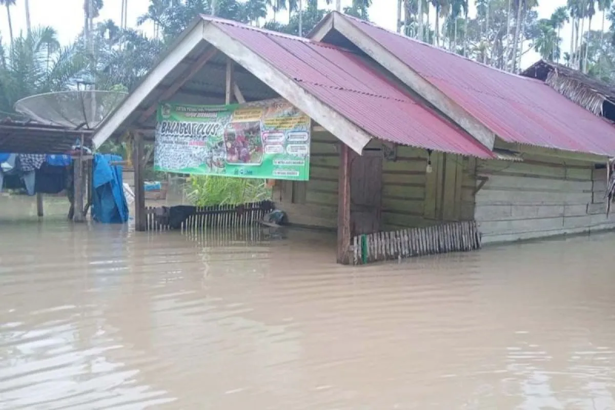 Banjir Rendam 280 Rumah di Pedalaman Aceh Timur. (Foto: ANTARA)