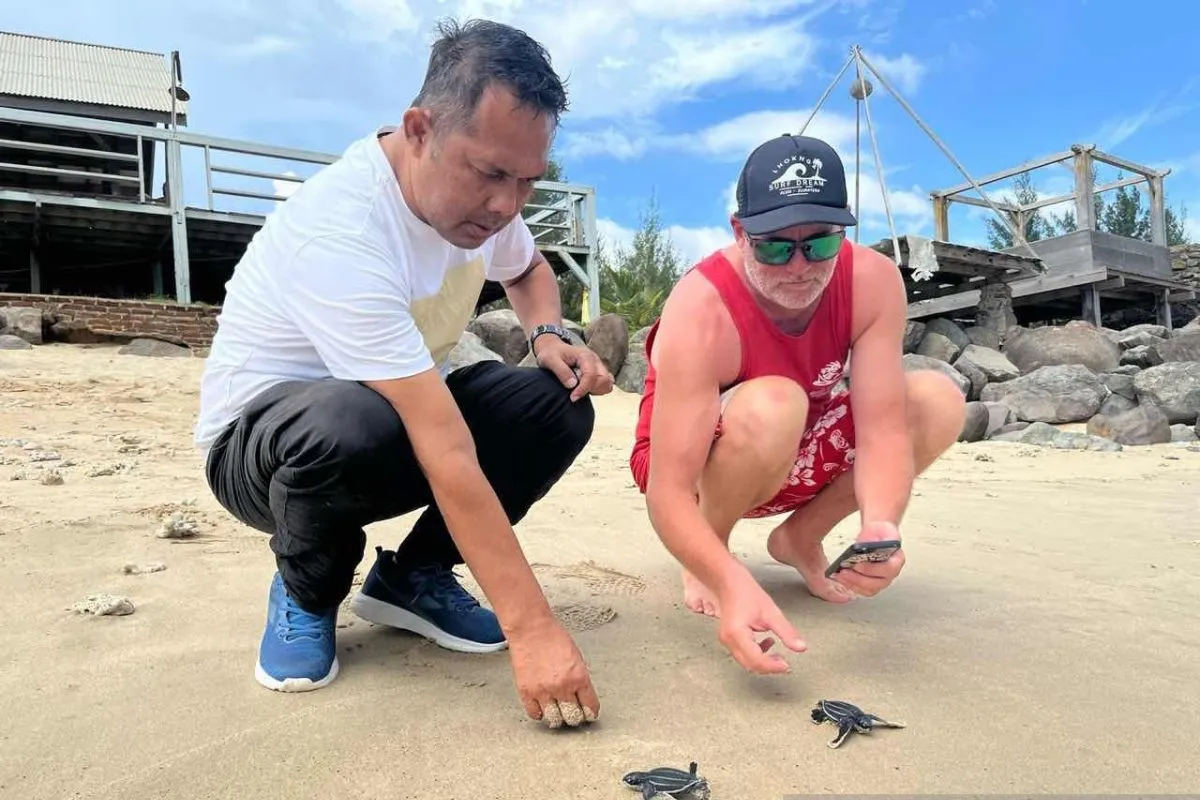 90 Tukik Dilepasliarkan ke Laut Aceh. (Foto: ANTARA)