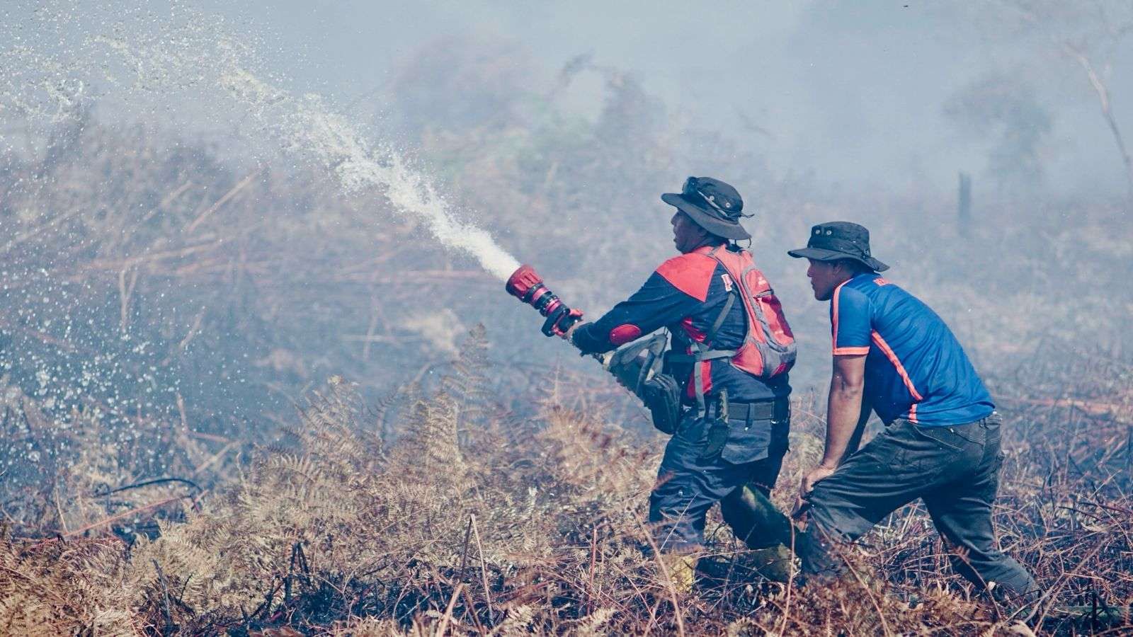 Ilustrasi Karhutla di Aceh Barat, Petugas Kesulitan Padamkan Api. (Foto: RRI)