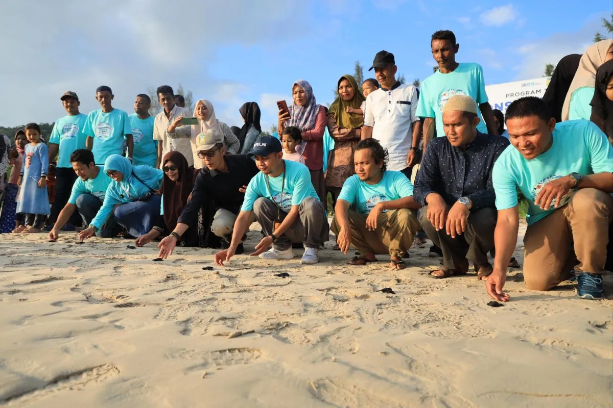 PT Pelayaran Nasional Indonesia (Pelni) bersama masyarakat melepaskan sebanyak 100 tukik di kawasan Pantai Lambaro, Kecamatan Pulo Aceh, Kabupaten Aceh Besar, Jumat (7/2/2025) (FOTO: ANTARA)