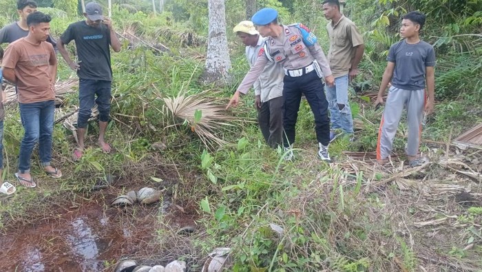 Warga Aceh Timur Geger Penemuan Kerangka Manusia di Tumpukan Kulit Kelapa. (Foto: Detik.com)