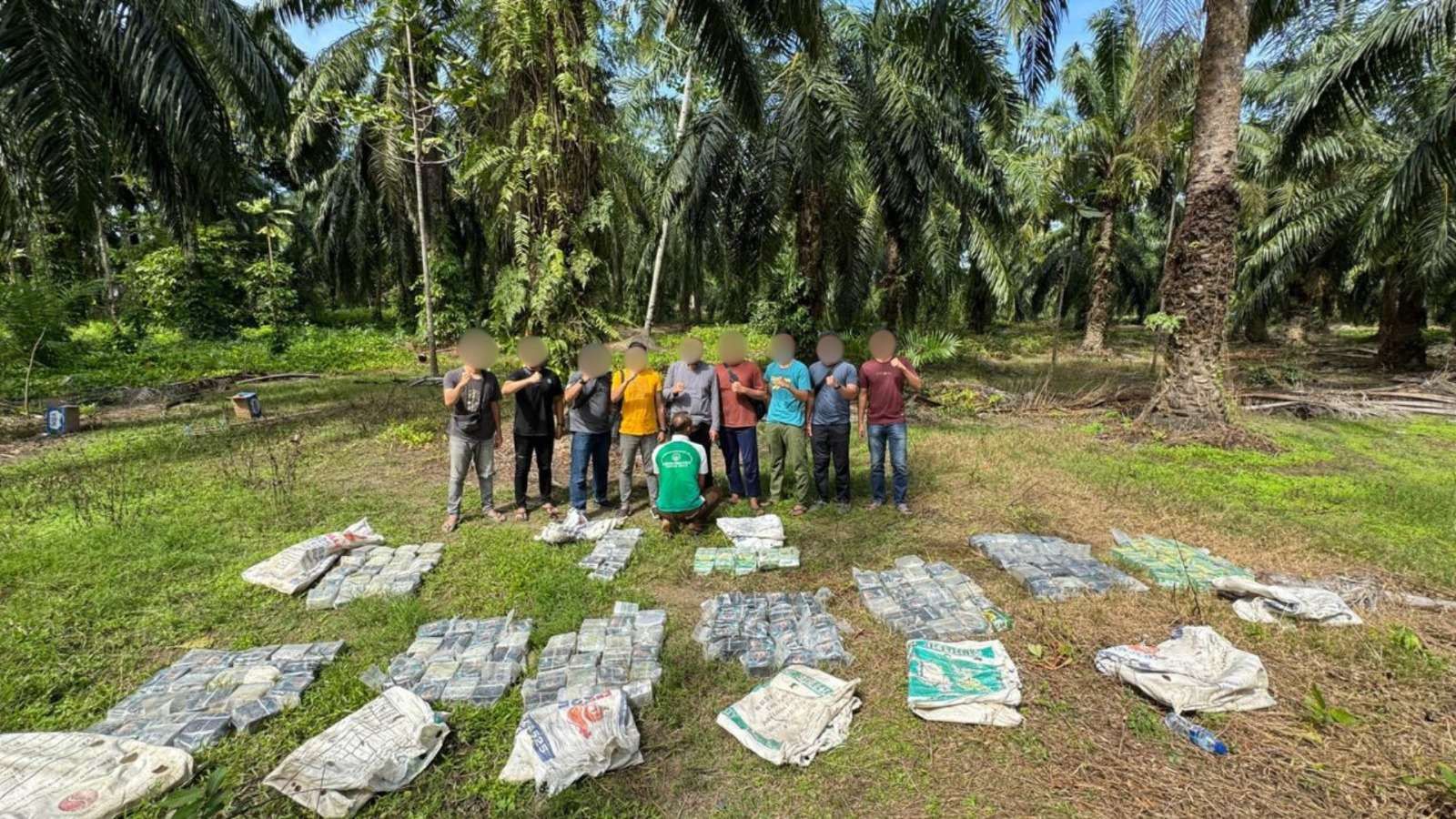Barang bukti narkoba jenis sabu seberat 188 kilogram diamankan dari seorang tersangka di Aceh Tamiang. Sabu disembunyikan di kebun sawit. (Foto: Humas Bea Cukai)