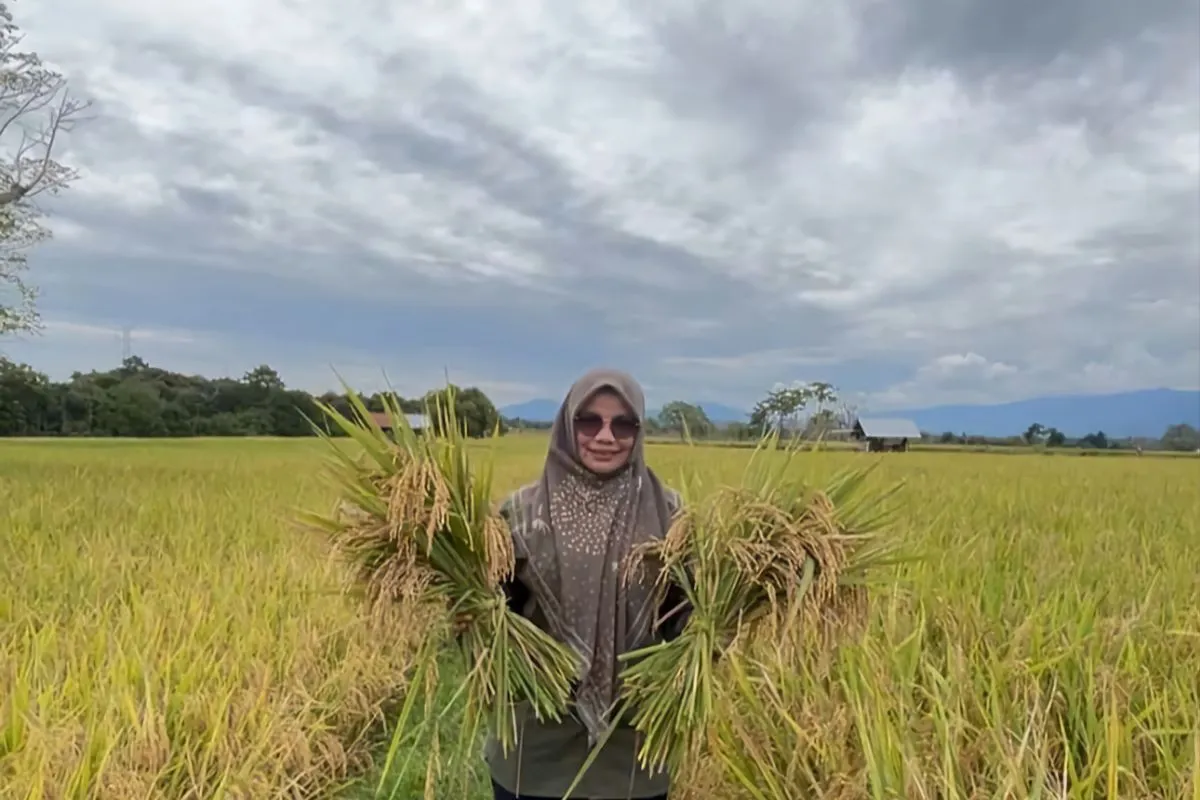 Kabid Penyuluhan Dinas Pertanian Aceh Besar, Rita Aulia memperlihatkan hasil panen padi (Foto: Distan Aceh Besar)