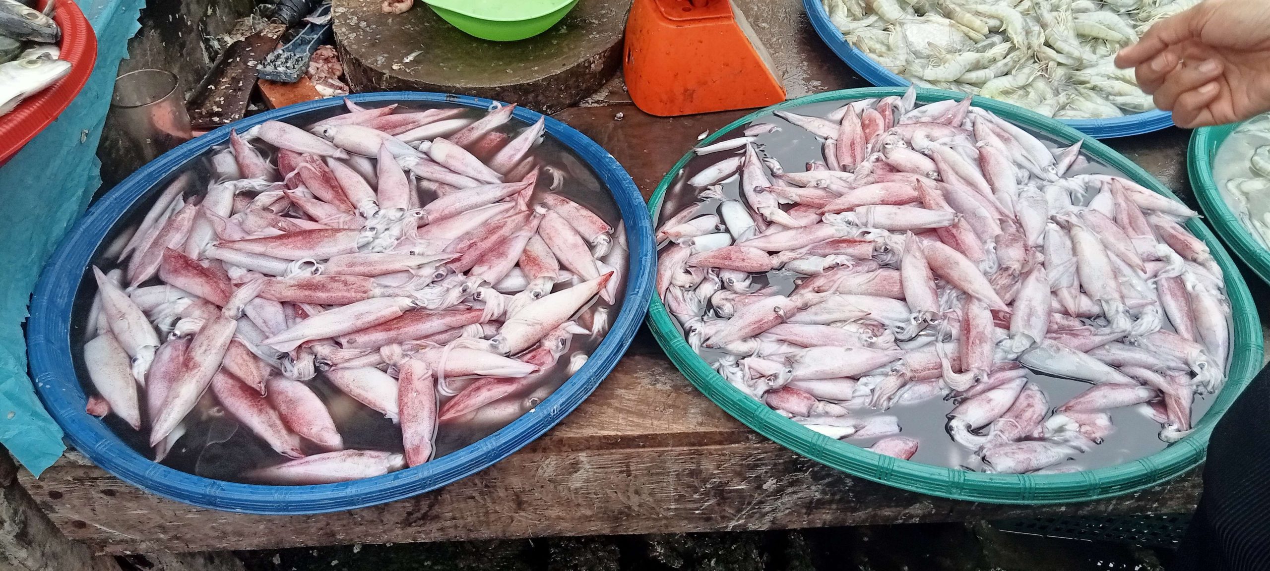 Harga Cumi di Pasar Anjo-Anjo Aceh Singkil Melonjak, Pedagang Sebut Pasokan Minim. (Foto: RRI)