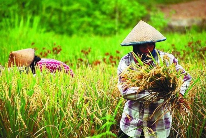 Ilustrasi ketahanan pangan. (Foto: unair.ac.id)