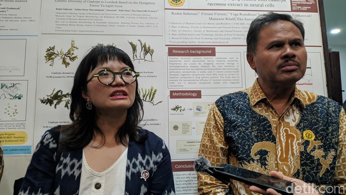 Wamendiktisaintek Stella Christie didampingi Direktur Hilirisasi dan Kemitraan, Direktorat Jenderal Riset dan Pengembangan Kemdiktisaintek, Yos Sunitiyoso, saat mengunjungi Unram. (Foto: Detik)
