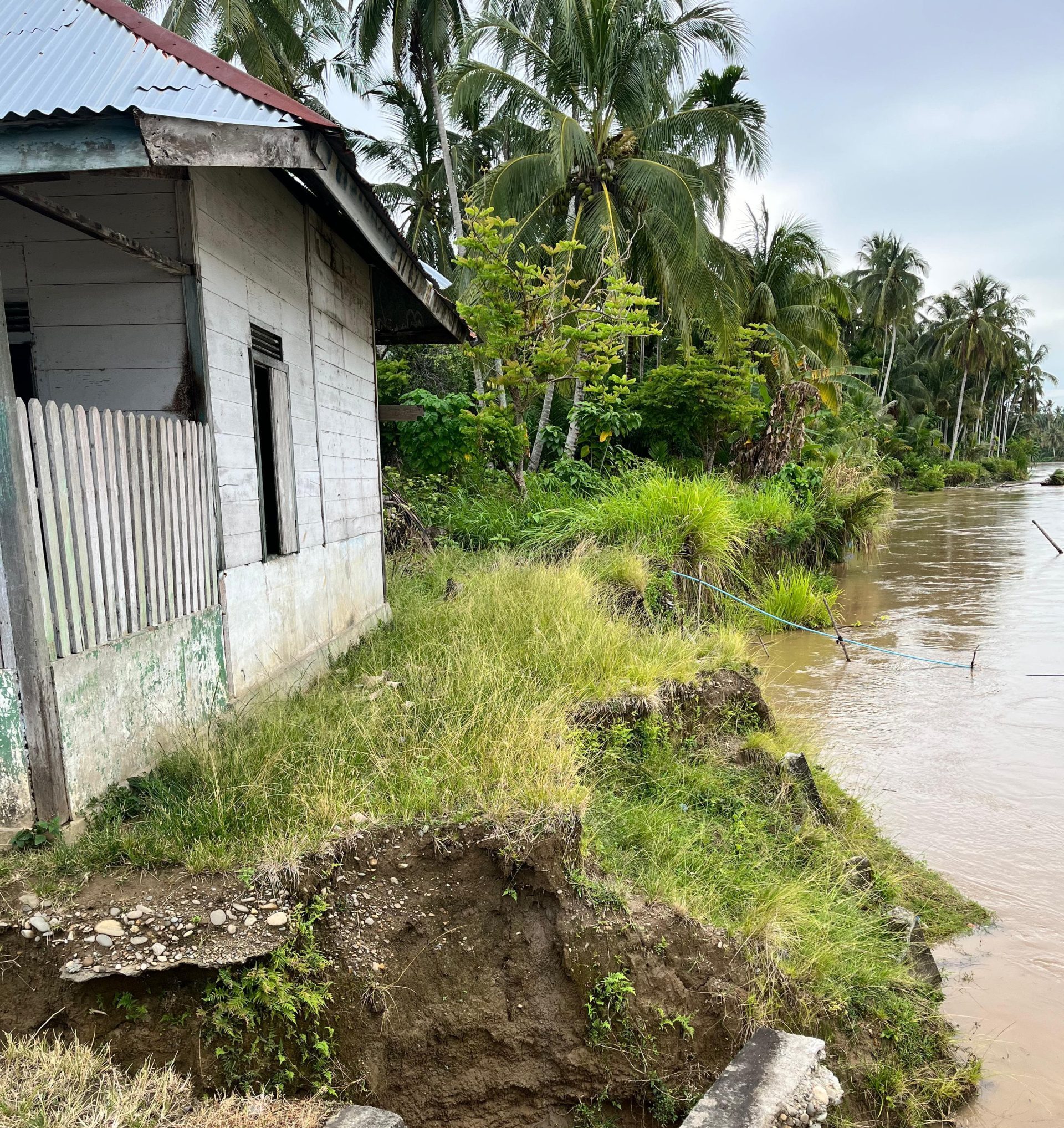 Erosi Sungai Kluet Ancam Pemukiman Warga Pulo Ie, Kluet Selatan, Aceh Selatan. (Foto: For Nukilan)