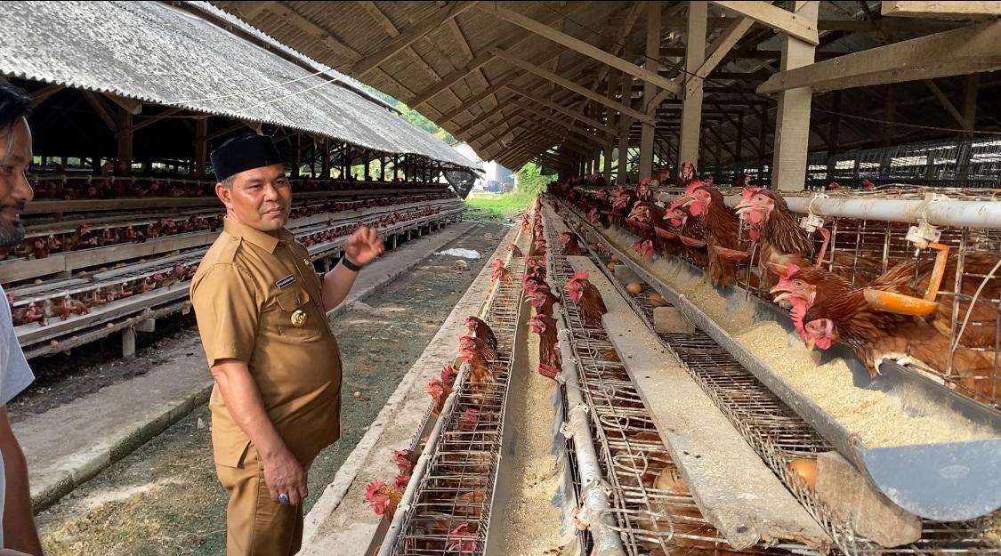 Bupati Aceh Besar, Muharram Idris saat melakukan kunjungan ke peternakan ayam petelur milik warga di Gampong Cot Suruy, Kecamatan Ingin Jaya, Kabupaten Aceh Besar pada Senin (23/6/2025) (Foto: Media Center Aceh Besar)