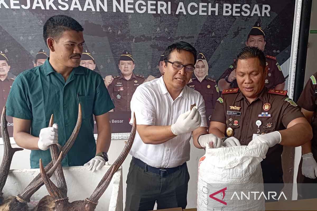 Kejari Aceh Besar Mulai Terapkan UU Baru untuk Kasus Konservasi. (Foto: ANTARA)